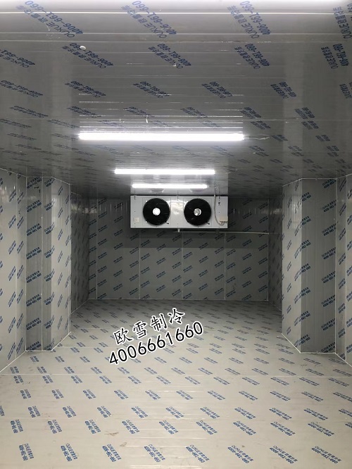 建個(gè)100立方的冷凍食品冷庫需要多少錢.jpg
