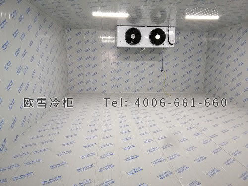 醫(yī)用雙溫冷庫設計.jpg