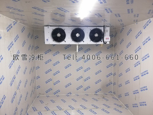 建個(gè)生鮮冷凍冷庫(kù)多少錢(qián)一平方.jpg
