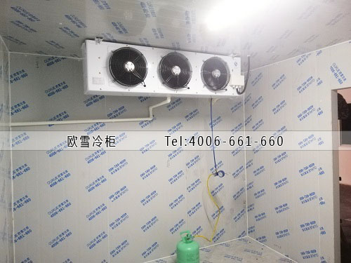 建個小型冷庫需要多少錢.jpg