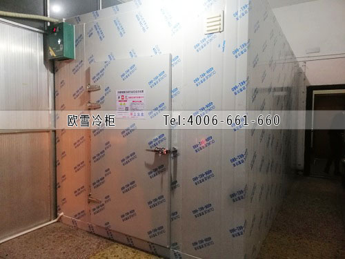 鮮花保鮮冷庫(kù)安裝.jpg