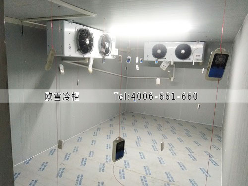 小型醫(yī)用藥品冷藏冷庫安裝.jpg