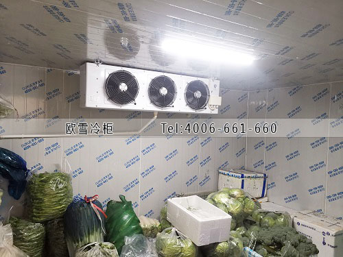 小型冷藏冷庫安裝.jpg