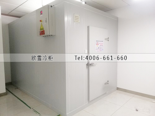 小型醫(yī)用藥品冷藏冷庫安裝.jpg