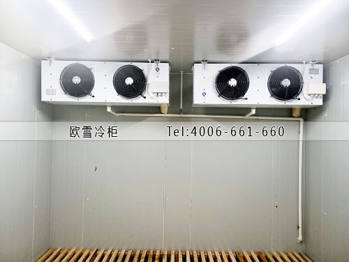 醫(yī)用冷庫.jpg