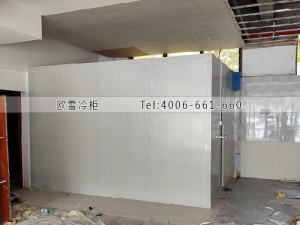 重慶潼南區(qū)25立方小型冷藏冷庫(kù)安裝案例