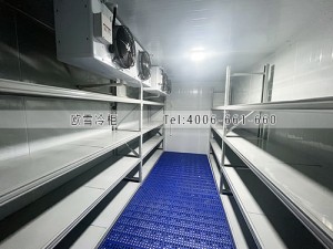 江西小型雙系統(tǒng)醫(yī)藥庫(kù)安裝案例