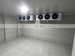 福建醫(yī)院兩個(gè)小型疫苗冷藏冷庫(kù)安裝案例